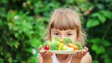 Photo of 10 Healthy Summer Lunch Meals For Kids