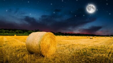 Photo of A Harvest Moon and the Chance to See the Andromeda Galaxy Highlight the September Night Skies